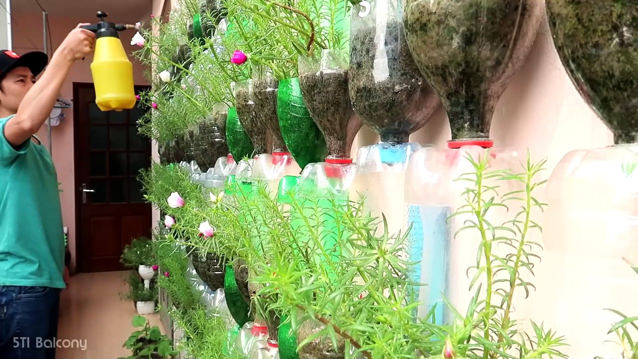Amazing Vertical Garden Using Plastic Bottles_ Portulaca (Moss Rose) Garden on Wall(1080P_HD)