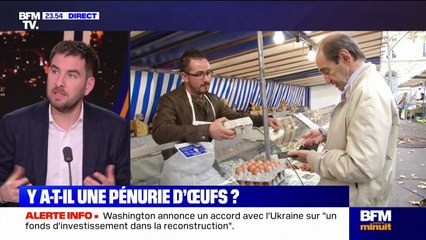 L'ŒIL DE RAPHAËL - Œufs: risque-t-on une pénurie?