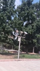 Adana Sabancı merkez camii