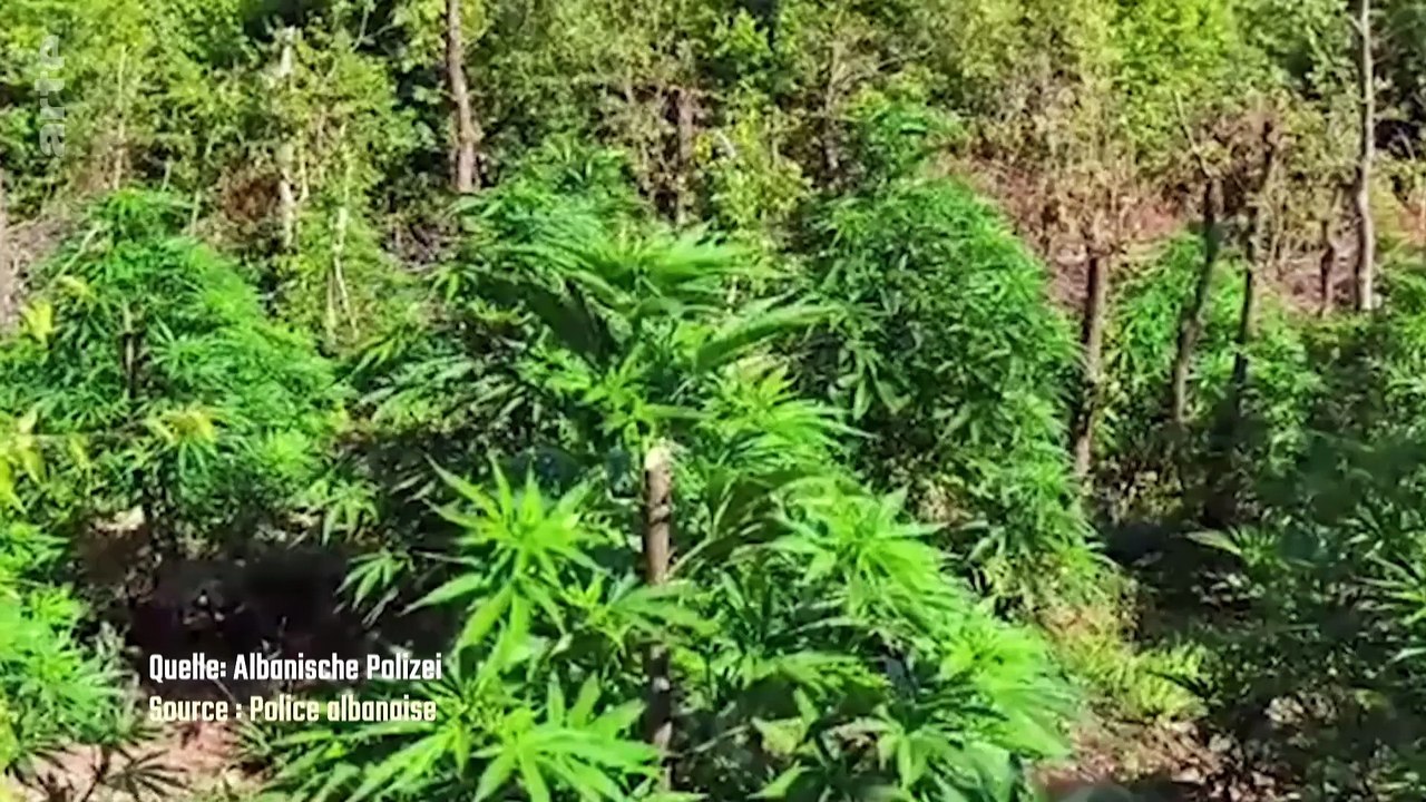 Drugs, Dollars, Diplomacy: Albania and the EU (ARTE, 2025)