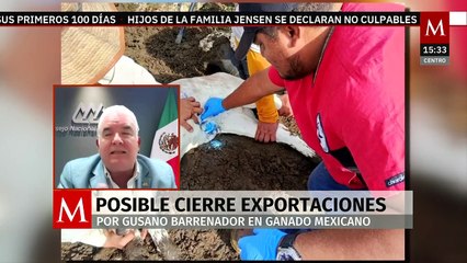 ¿Cuál es la situación del ganado nacional ante la presencia del gusano barrenador?