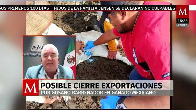 ¿Cuál es la situación del ganado nacional ante la presencia del gusano barrenador?