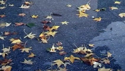 ESMA. Memorias de la resistencia | movie | 2010 | Official Trailer