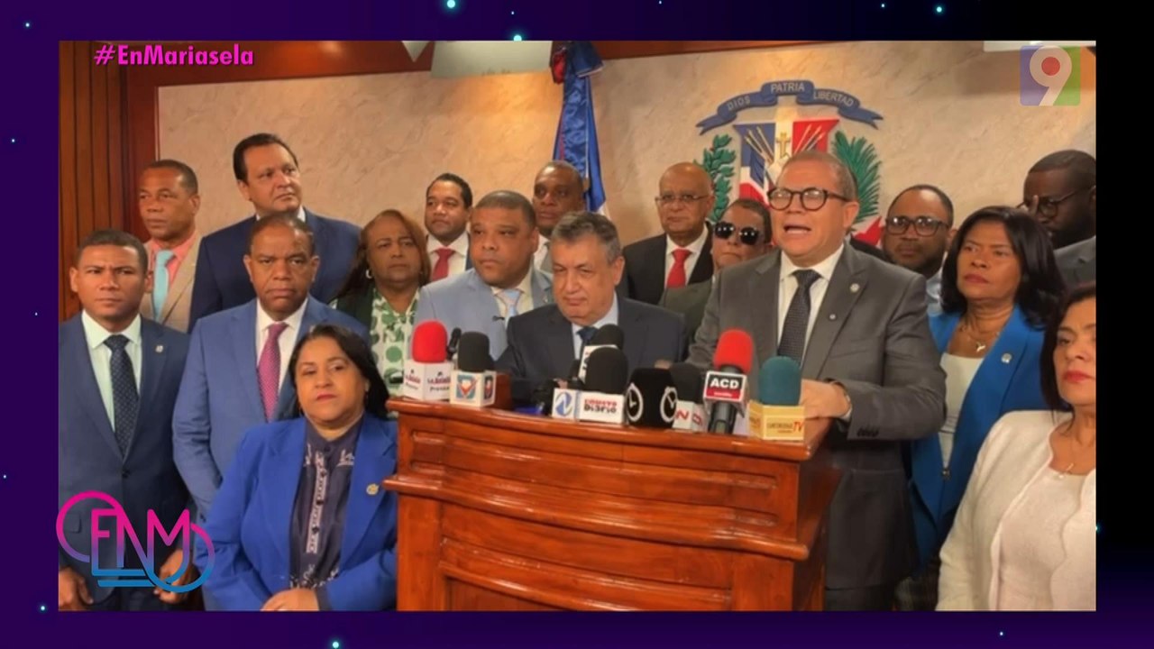 Ministra Faride Raful responde a diputados opositores tras solicitud de interpelación | ENM