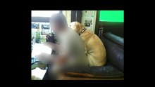 犬の恩返し