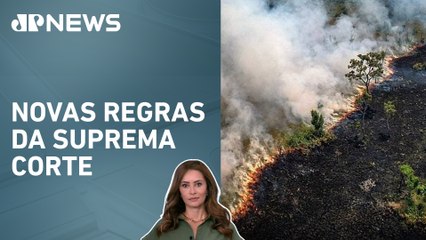 STF decide punição para desmatamento e incêndios ilegais; Patrícia Costa analisa