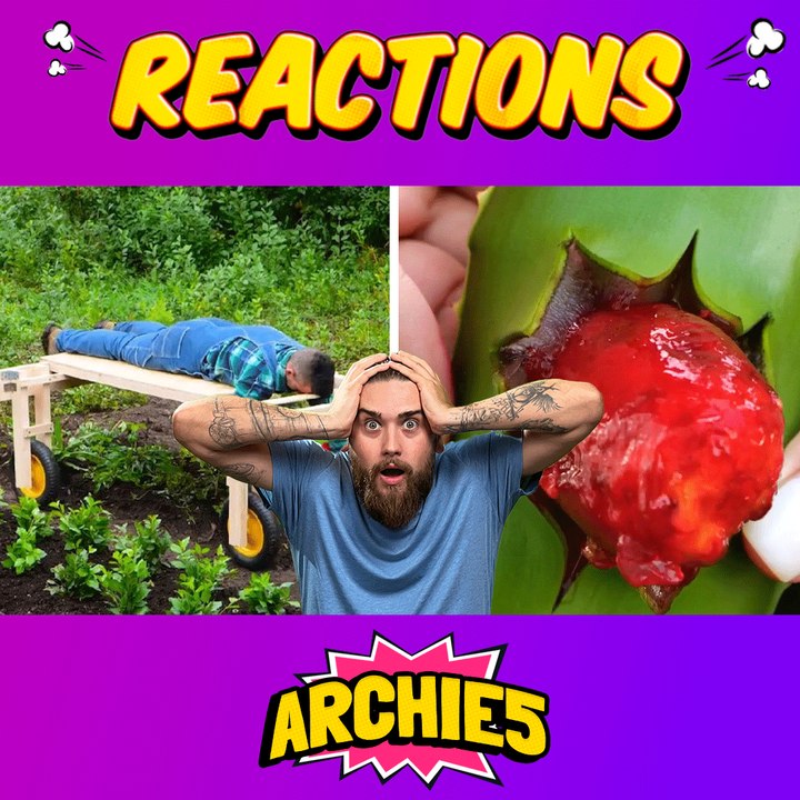 These Hacks Claim to Save Your Plants… But Do They?!  The Dudes React!