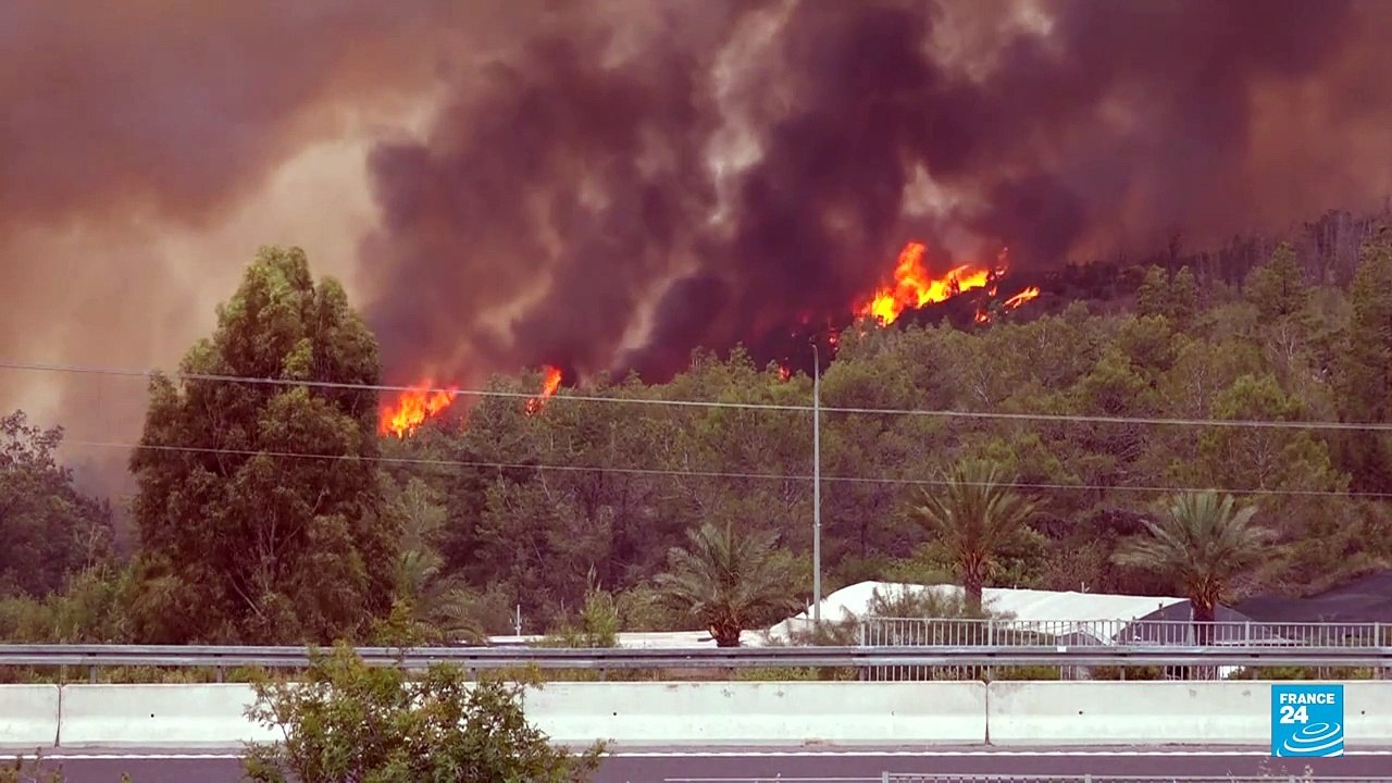Israel acusa a Territorios Palestinos de provocar los incendios forestales en Jerusalén