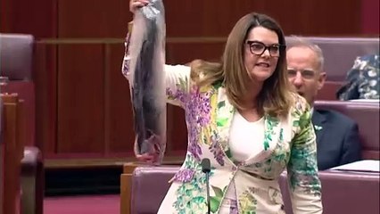 Salmon farming future in Macquarie Harbour still being considered, documents show