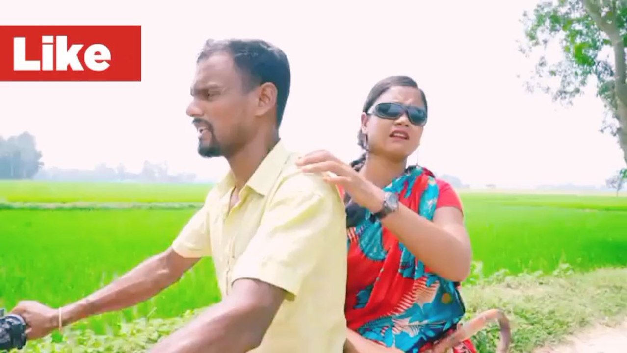 new intertainment funny video