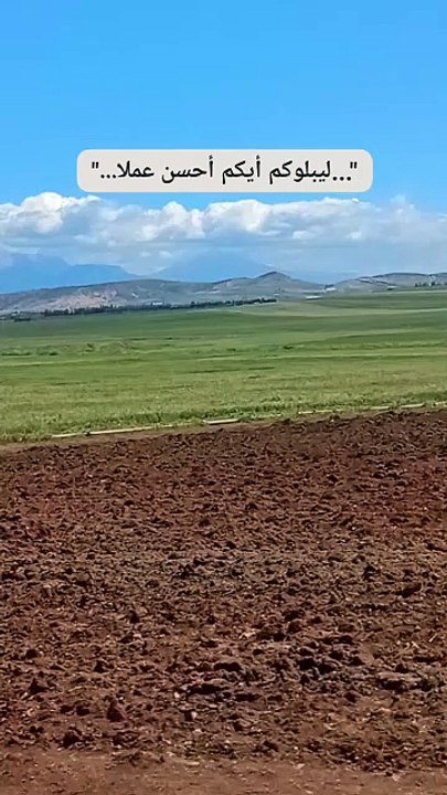 " أيكم أحسن عملا... "