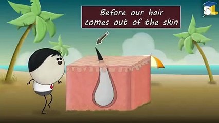 Why_do_we_get_white_hair____#aumsum_#kids_#science_#education_#children(360p)