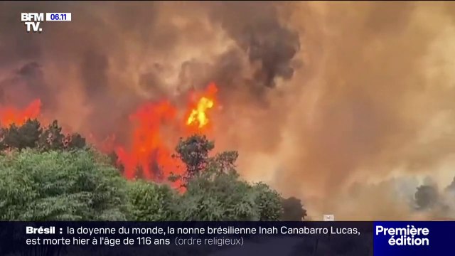 Israël: l'état d'urgence déclaré par Benjamin Netanyahu à cause des incendies dévastateurs dans la région de Jérusalem