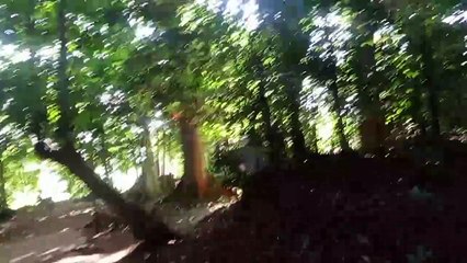 Punden reco banteng Mbah Sindu wangsa