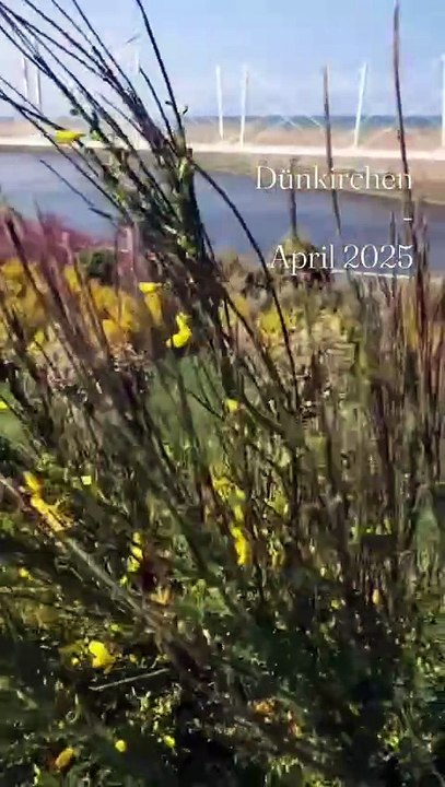 Dünkirchen - april 2025 folge 06