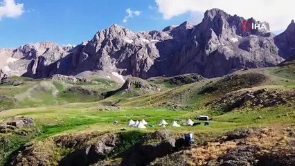 İşte Türkiye'nin dağda kendi kendine yetişen en doğal protein deposu...