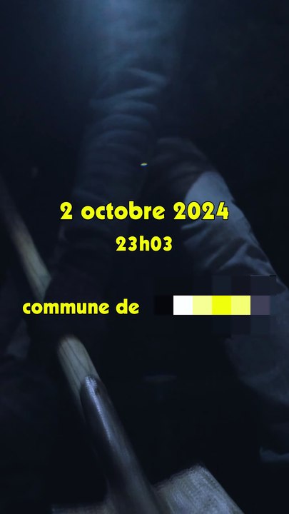 La Découverte de la Chouette d'Or | movie | 2025 | Official Teaser