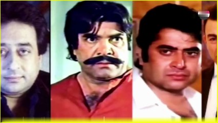 Pakistani Cinema Captivating Stories on the Big Screen