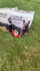 Wholesome Nutrition with Premium Chicken Liver Dog Treats