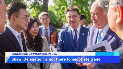 Analysis: What Are Taiwan's Lawmakers Doing on Latest U.S. Visit?