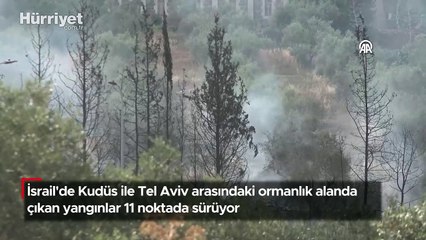 İsrail'de ormanlık alanda çıkan yangınlar 11 noktada sürüyor