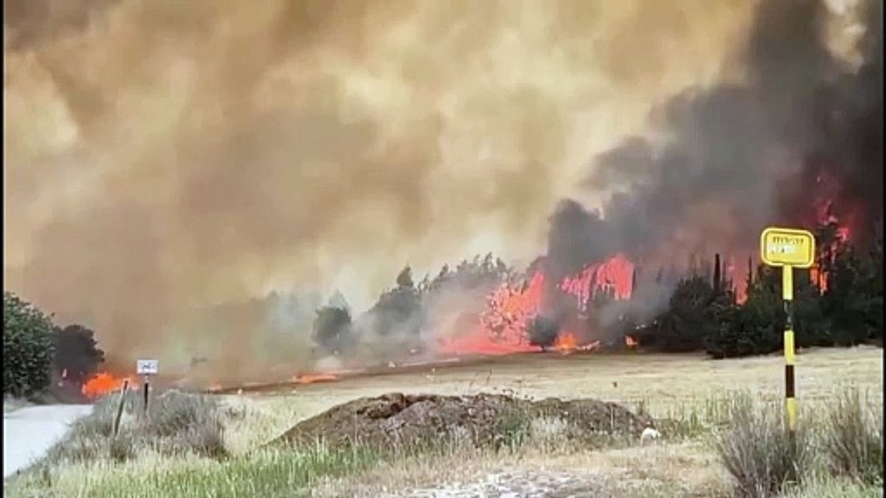Videoaufnahmen zeigen dichten Rauch von Brand westlich von Jerusalem