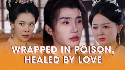 Wrapped in Poison, Healed by Love