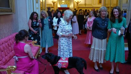 King and Queen host reception to celebrate cancer charities
