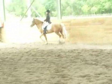 Eclair et moi (concours du 08/05/08) Dressage