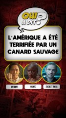 DEVINE QUI A DIT... "L'Amerique a été terrifiée par un canard sauvage"