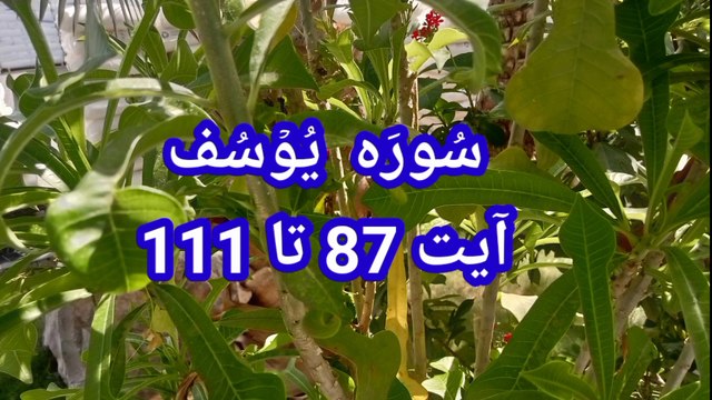 Surah Yusuf |Tilawat Surah yousaf | Quran recitation | quran Kareem ki tilawat |