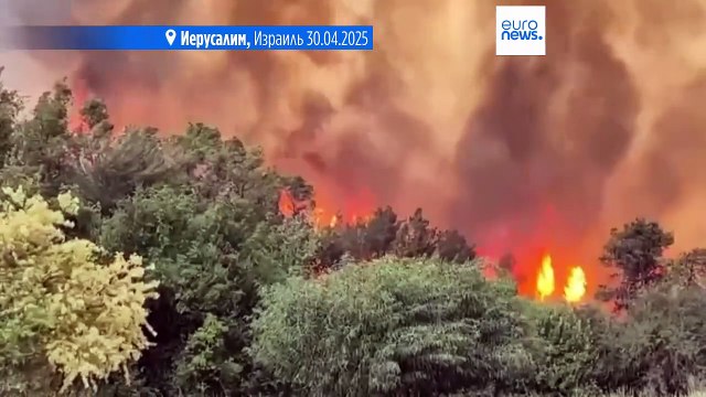 Израилю помогли в тушении пожаров техникой и людьми