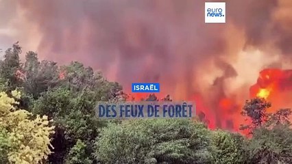 Israël : d'importants feux de forêt menacent Jérusalem