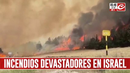 Incendios en Israel: las llaman arrasan con todo y solicitan ayuda internacional