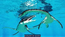 Ichthyosaurus_-_El_Depredador_Marino_que_Domino_los_Oceanos_Prehistoricos-ZpveJzpOjC0