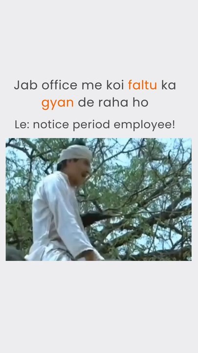 funny videos