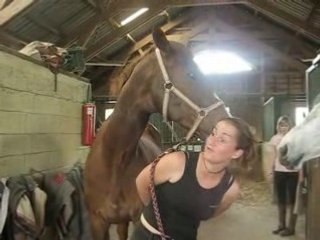 Duck & Elodie: A Charming Duo