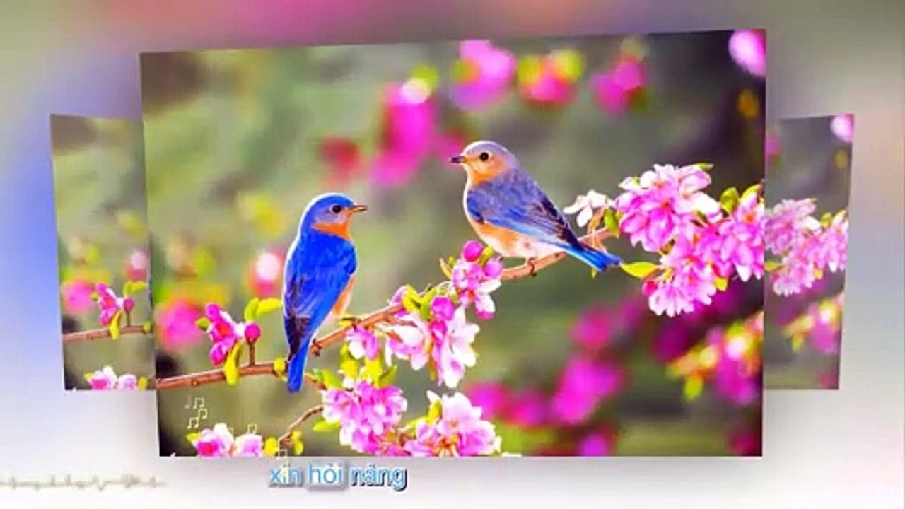 YouCut_20250423_151655394