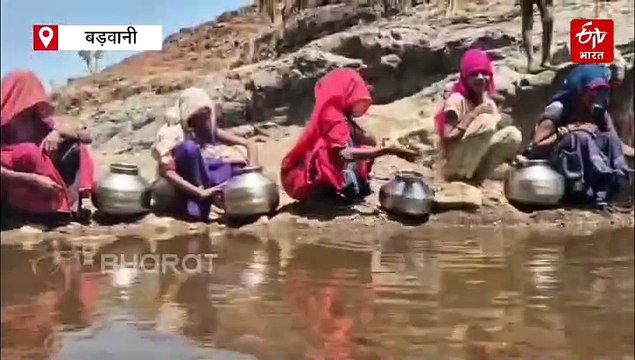 बड़वानी में गंभीर जल संकट, दूषित पानी पीने को मजबूर ग्रामीण, गधे और खच्चर ढो रहे पानी
