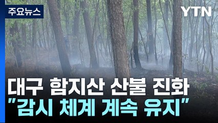 '재발화' 대구 함지산 산불 진화..."감시 체계 유지" / YTN