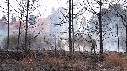 إسرائيل تعيد فتح الطرق الرئيسية مع تواصل جهود السيطرة على الحرائق