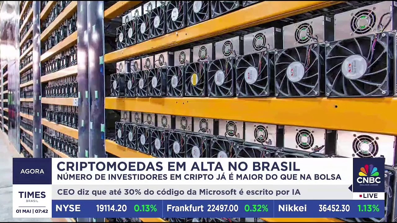 Criptomoedas superam bolsa e ganham espaço entre brasileiros; analista detalha
