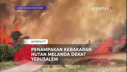 Penampakan Kebakaran Hutan Dekat Yerusalem hingga Helikopter Dikerahkan