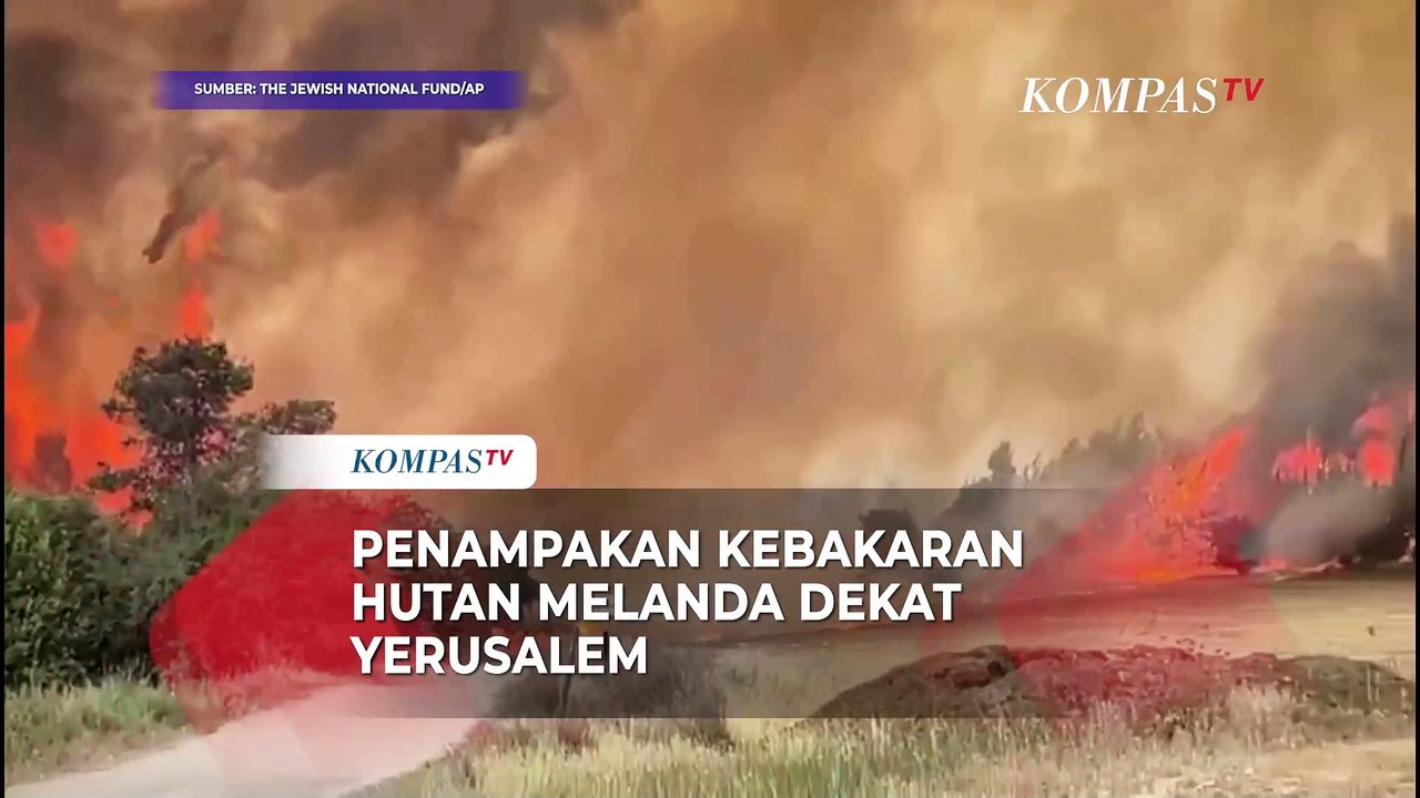 Penampakan Kebakaran Hutan Dekat Yerusalem hingga Helikopter Dikerahkan