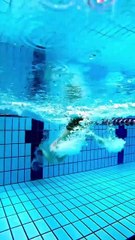 🔥 最新短剧合集：余烬中的玫瑰，感人至深的故事