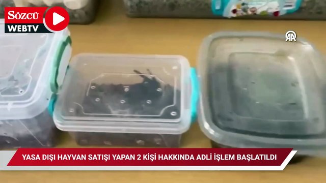 Başkentte yasa dışı hayvan satışı yapan 2 kişi hakkında adli işlem başlatıldı