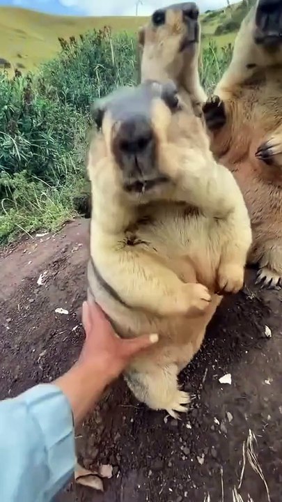 Don't Touch