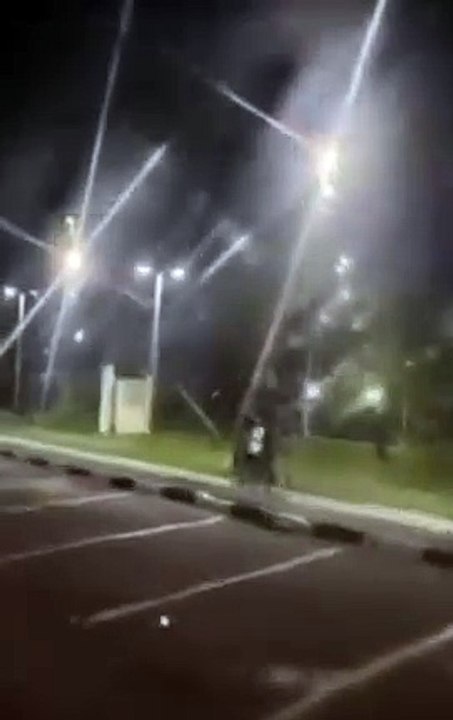 Dupla é flagrada andando de cavalo em alta velocidade em ciclovia de São Vicente; VÍDEO