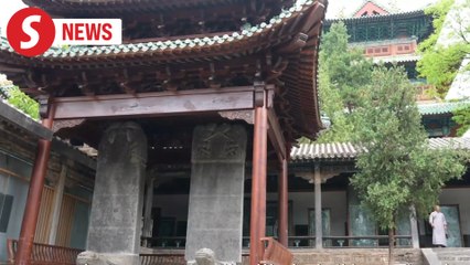 Shaolin’s legacy carved in time enter Unesco’s cultural record