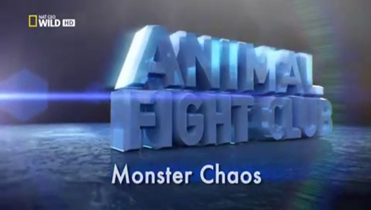 Animal Fight Club - S3E3 Monster Mayhem